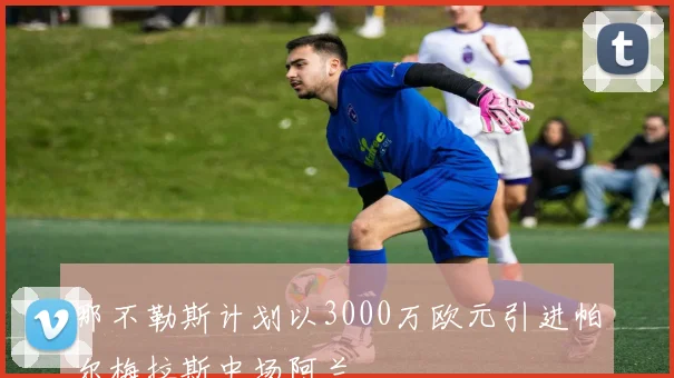 那不勒斯计划以3000万欧元引进帕尔梅拉斯中场阿兰